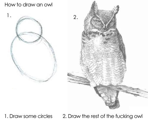 Draw The Rest Of The F***ing Owl